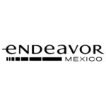 endeavor